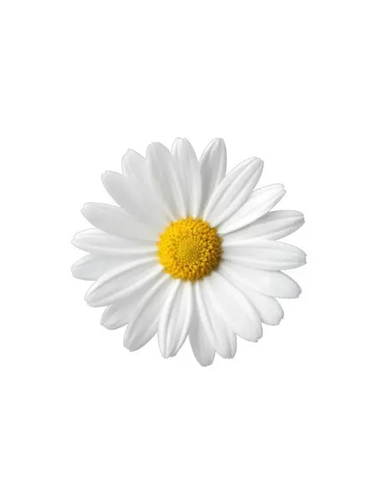 CreamViola4759의 신인에서 프로까지 ㅡ 권지용 키우기!