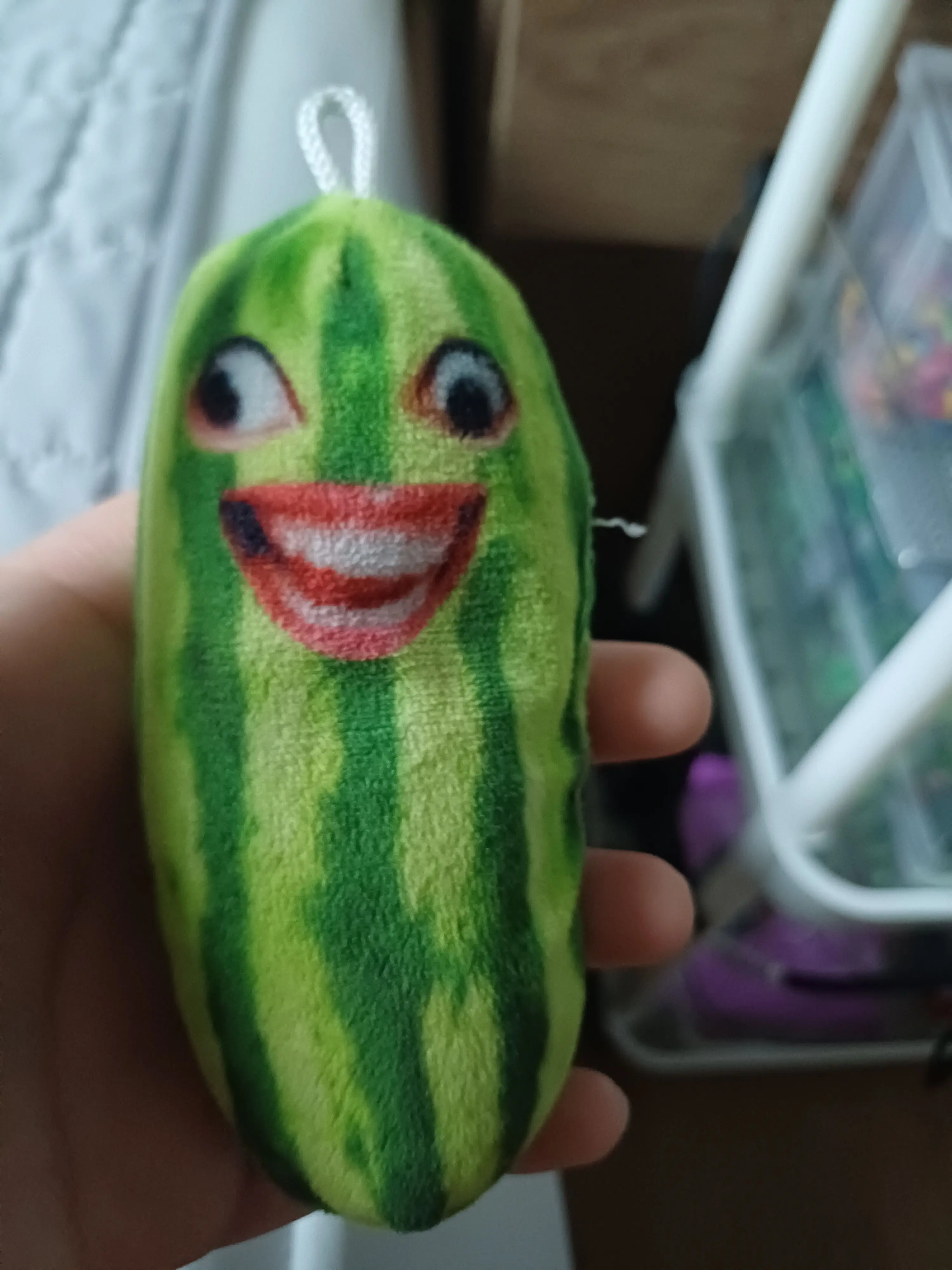 oiwatermelon66의 오이수박과 맞짱까기