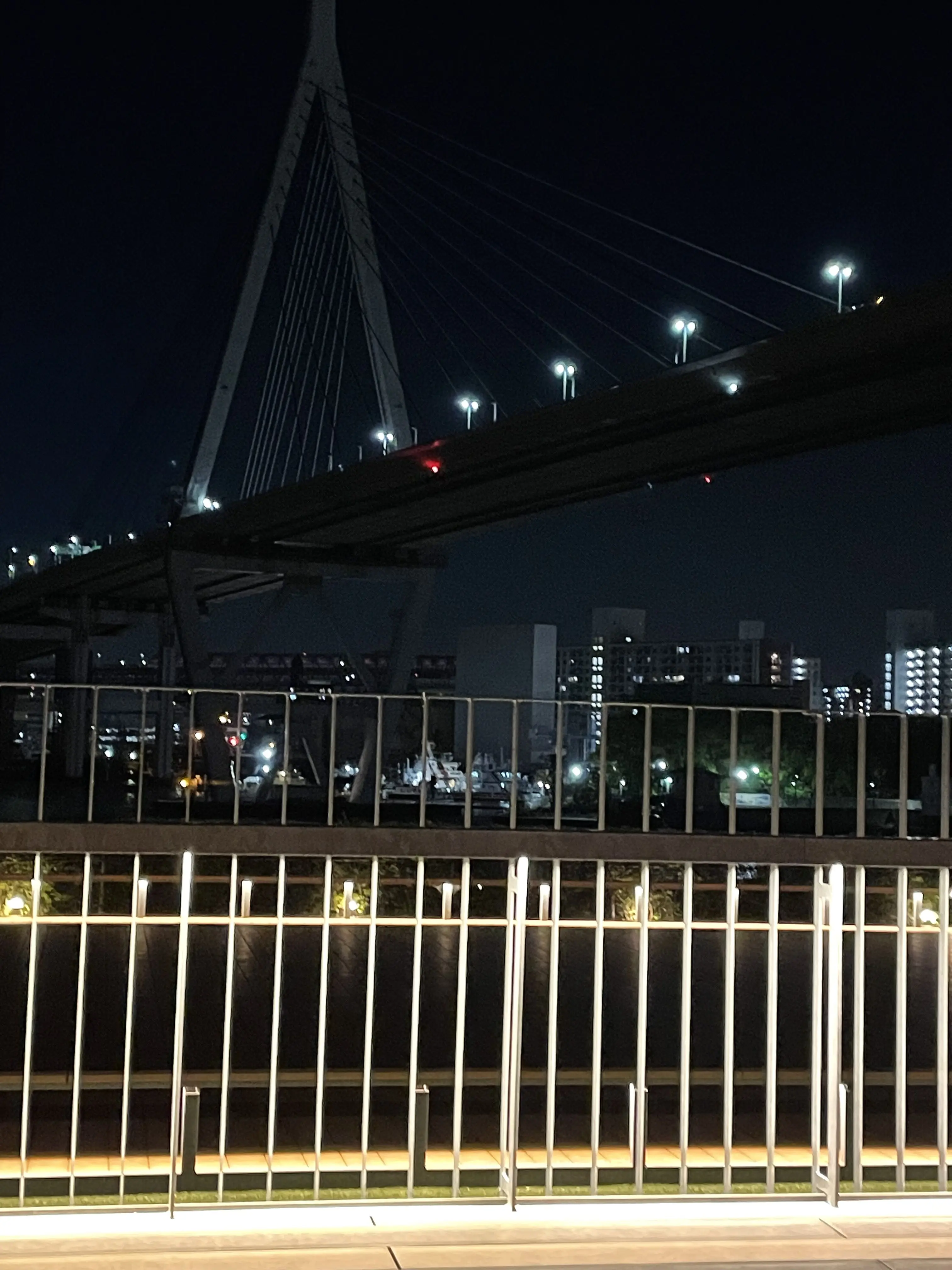 Karinnto의 自分用@