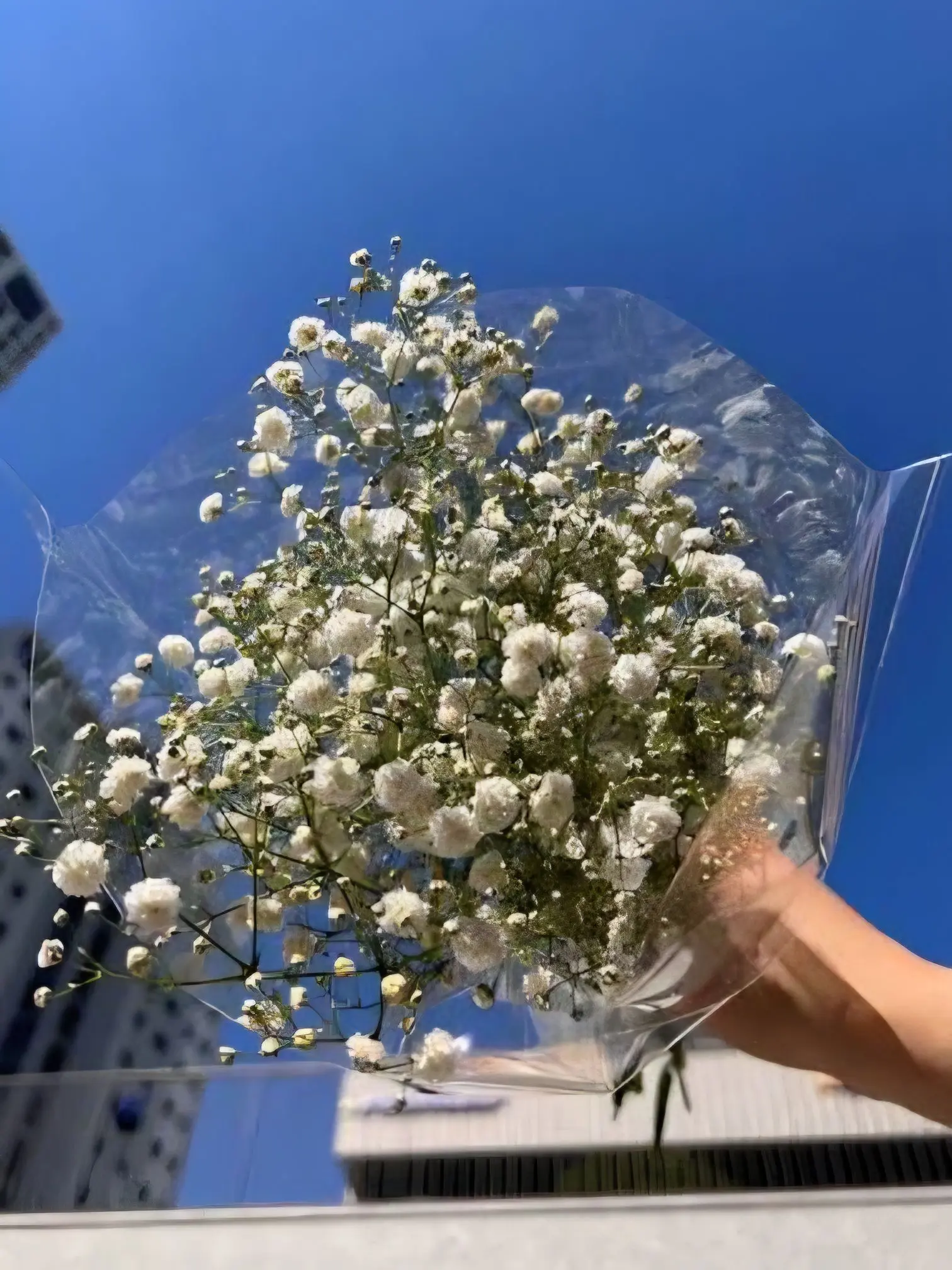 Ichikawayuiru의 "月が綺麗"