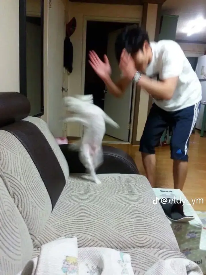 ThickFresh6935의 ..왜 인형이 2개가 됬지