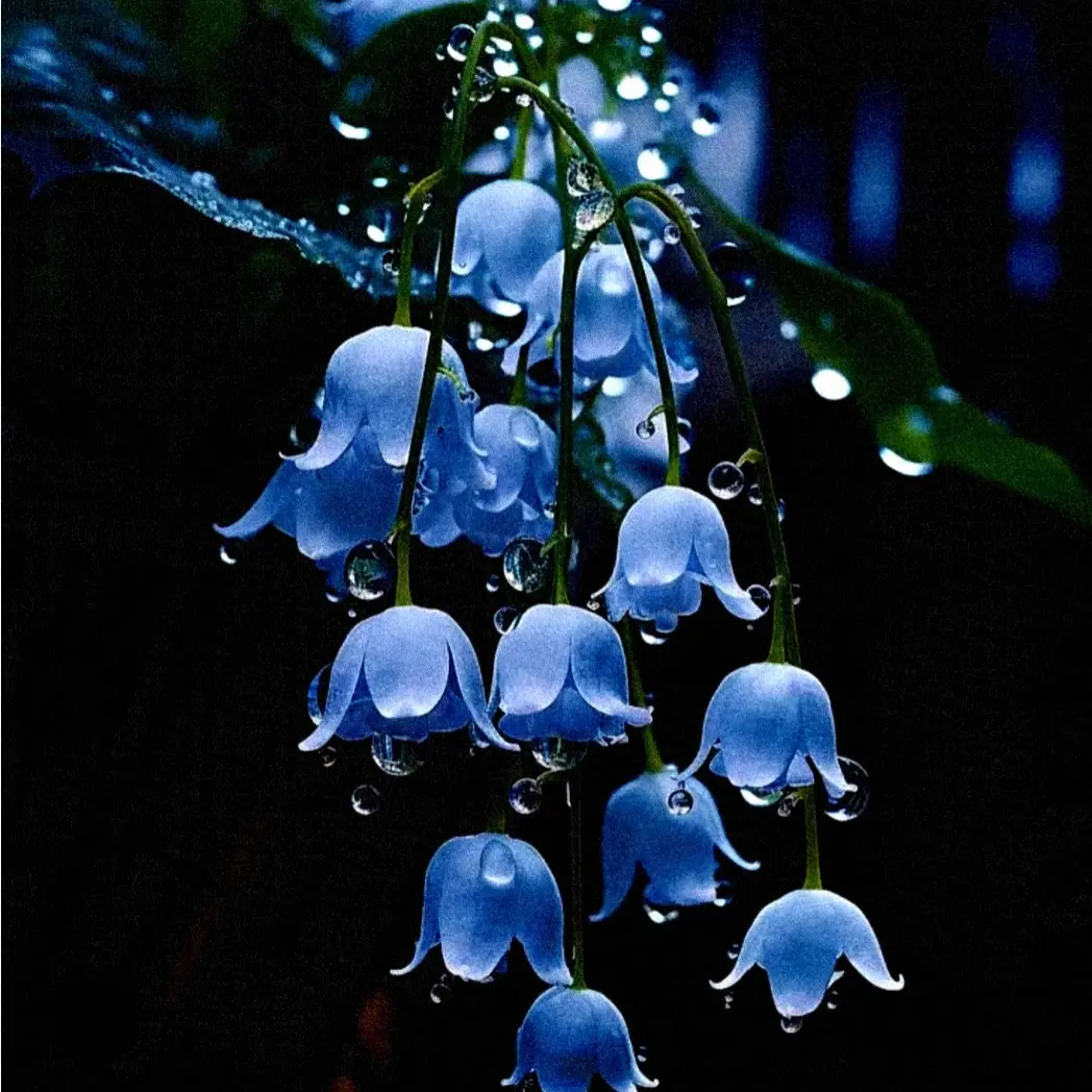 Kimleeonlover의 후배인 서한솔