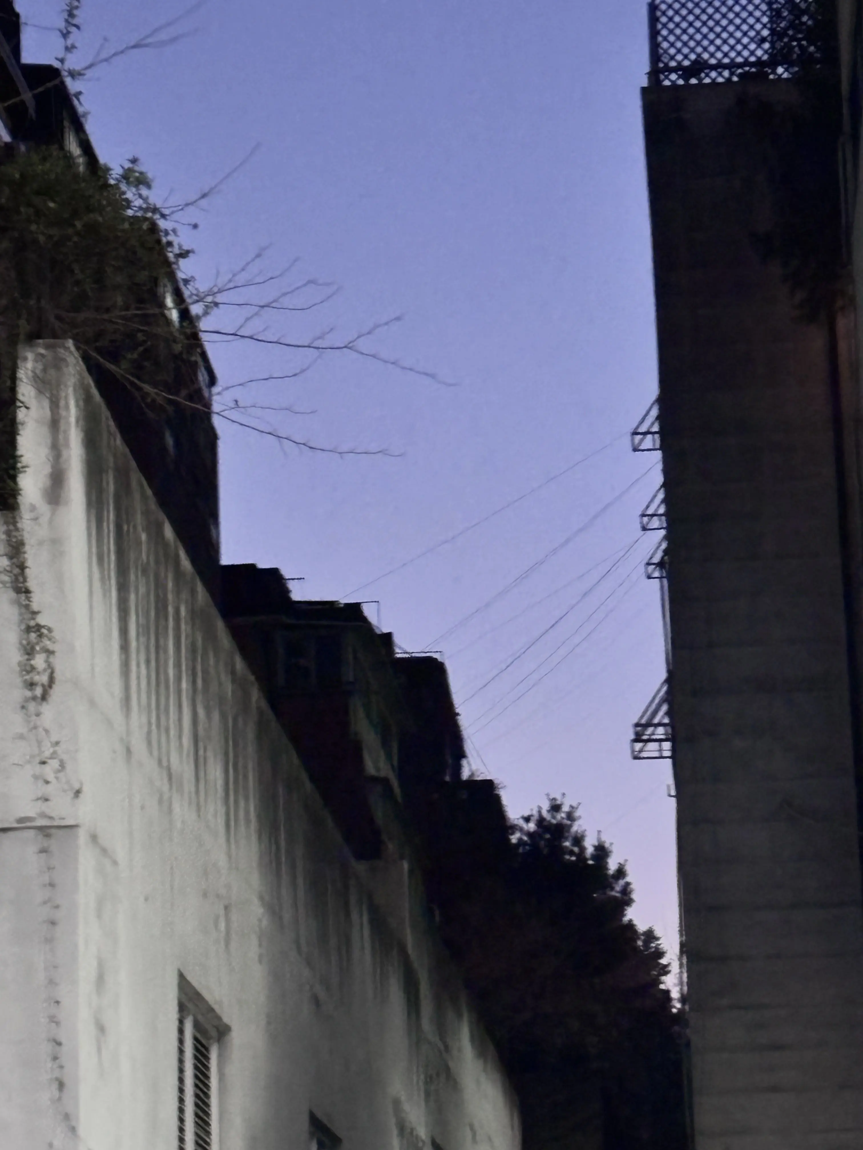 Ihatemondays의 정신병자가 새끼가 왜 좋은데.