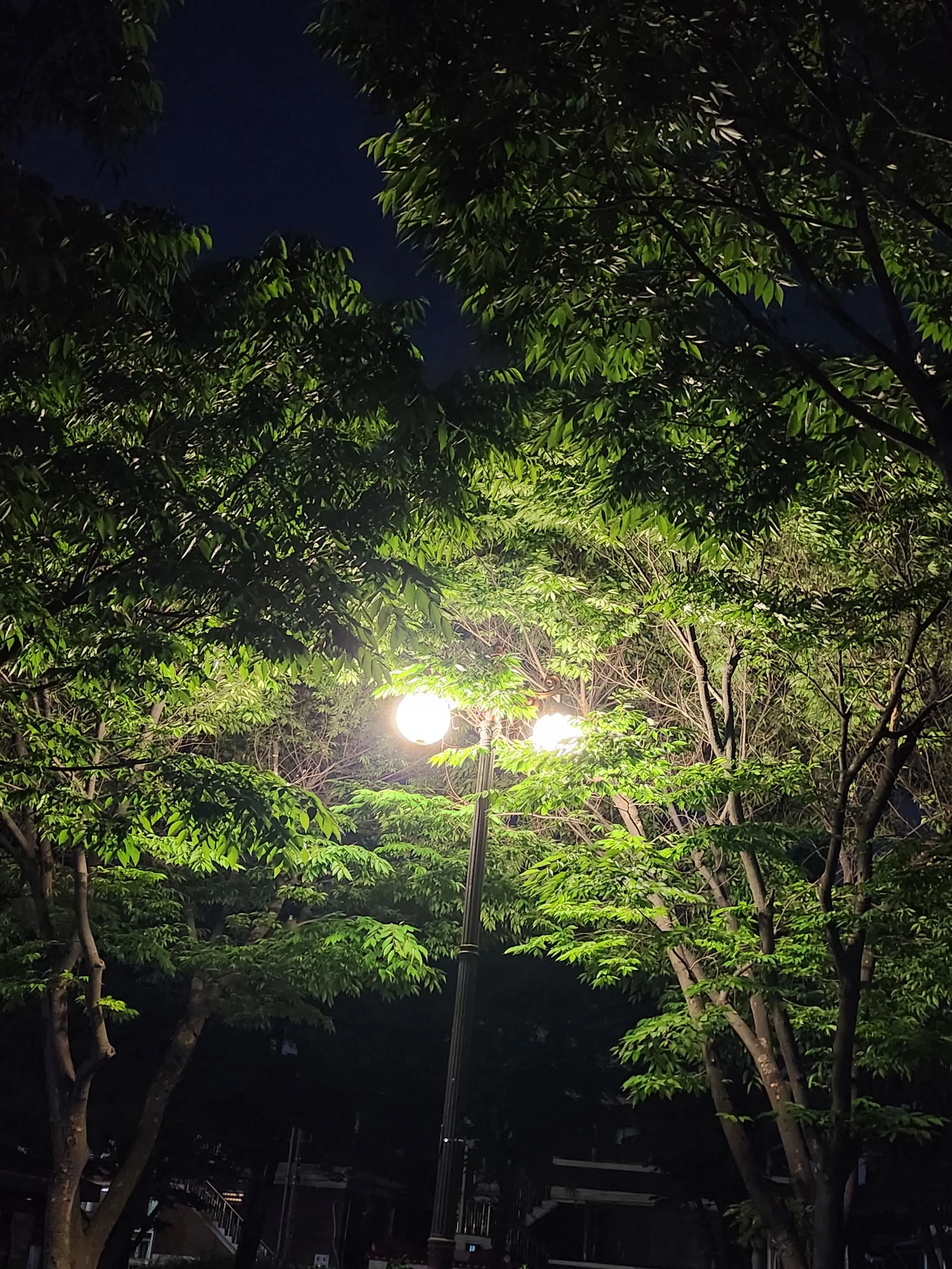 Anise4721의 이엘과 카일