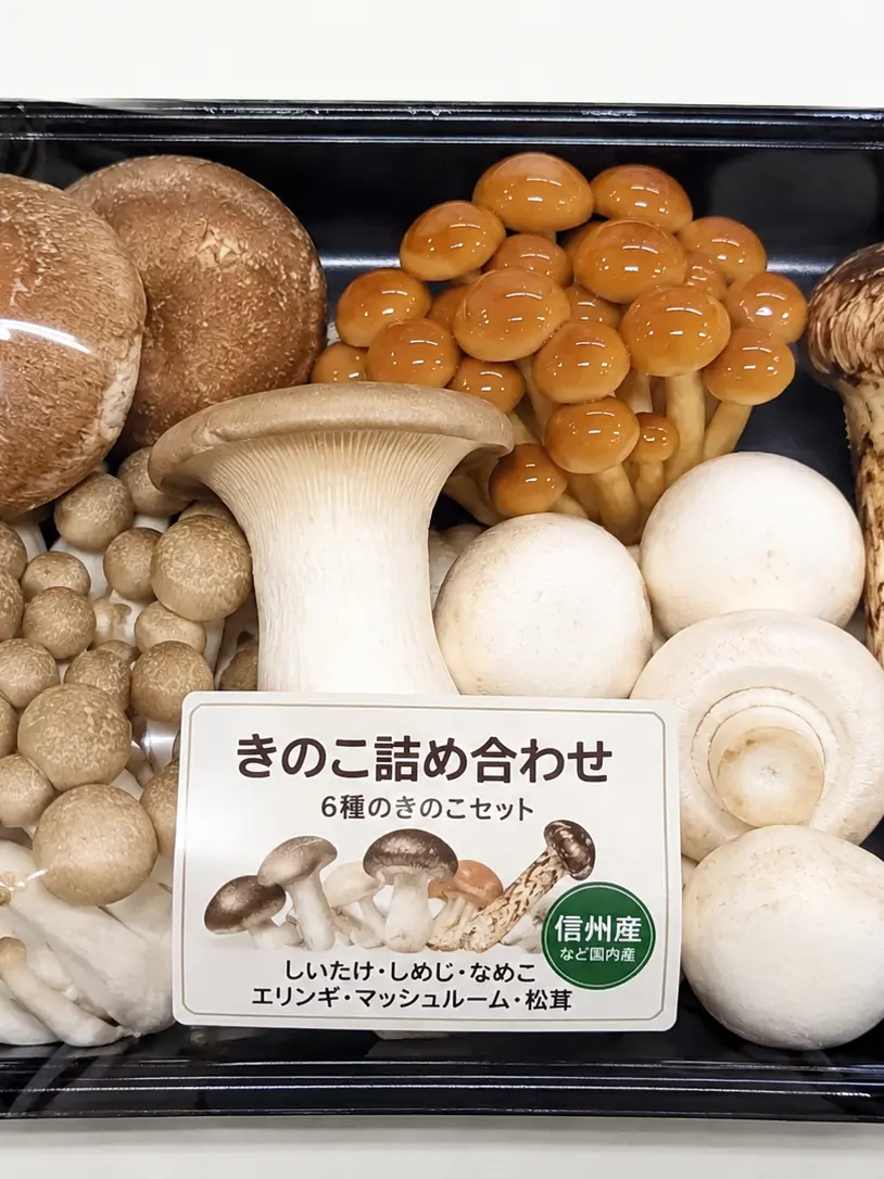 ProneSigh1496의 きのこが喋った！？