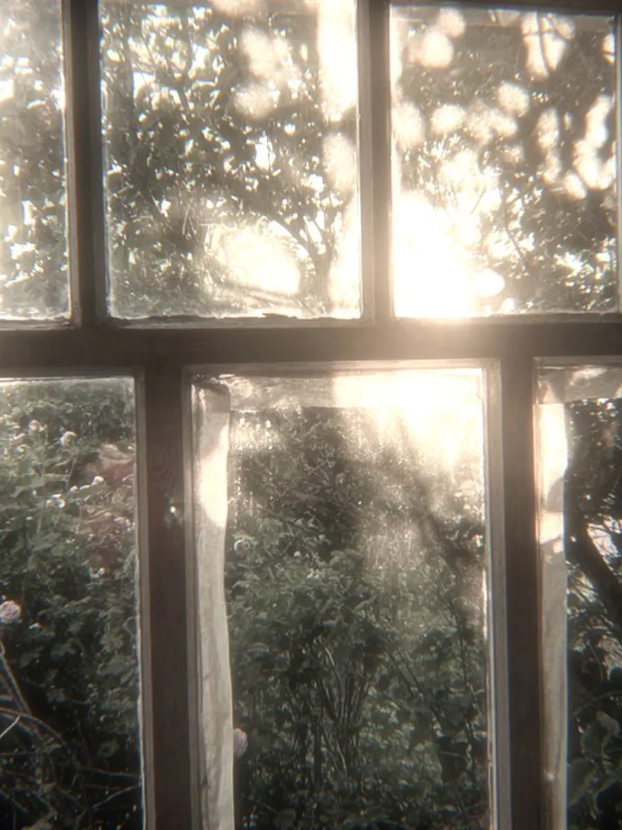 iikii_의 ㅤ