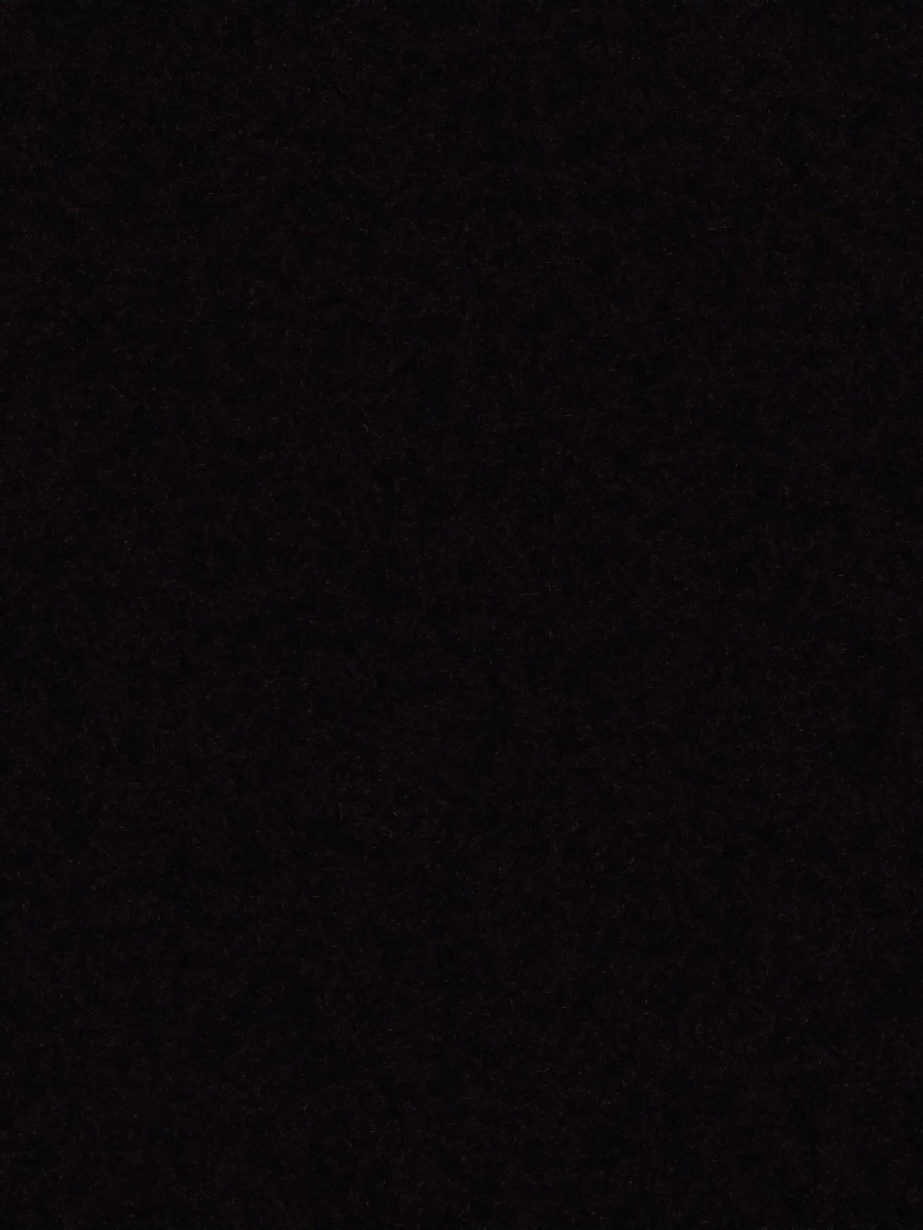 JmJtmu의 拾った子達