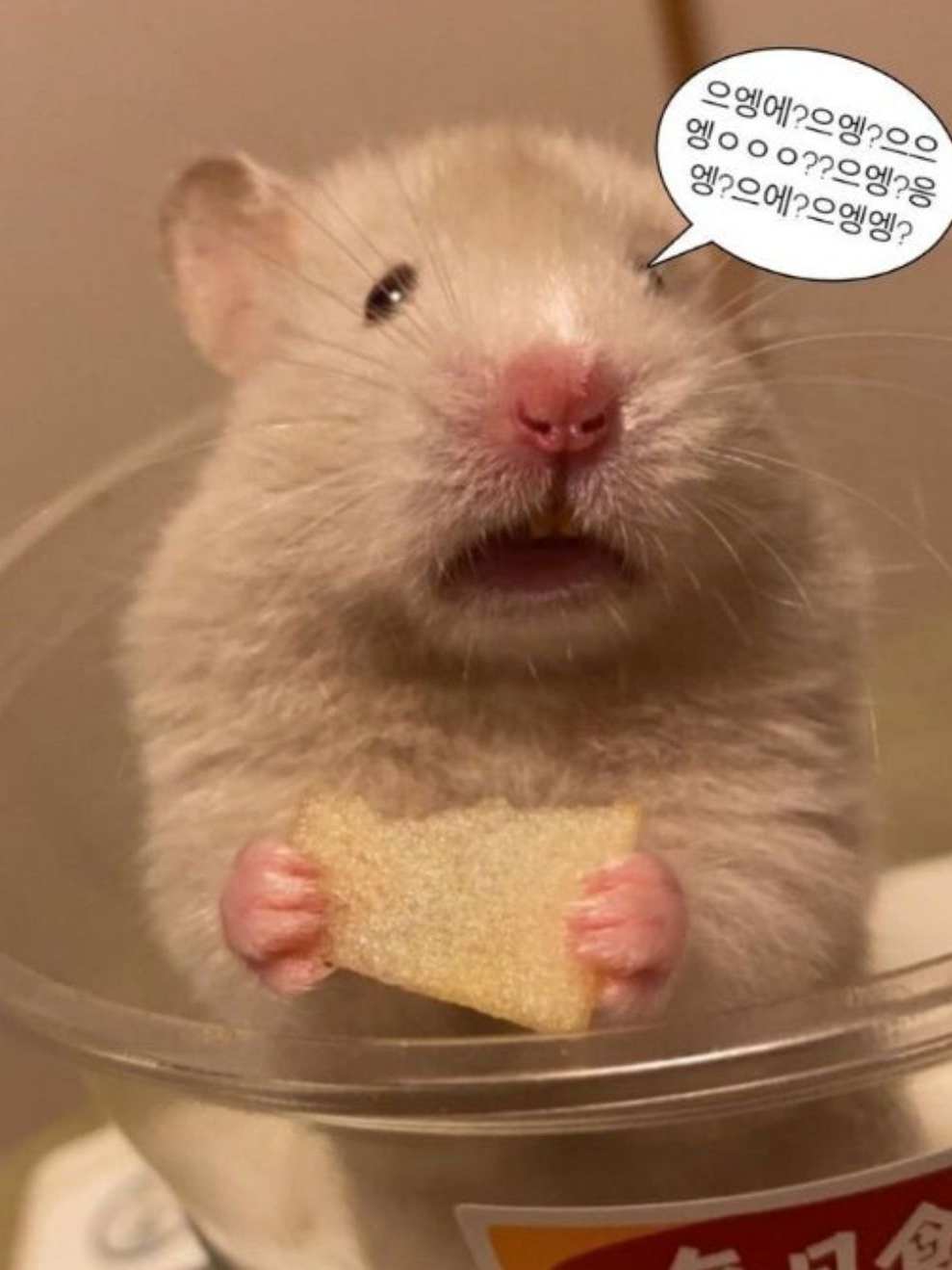 포세이큰+다오데 수학여행(사심용) 대표 이미지