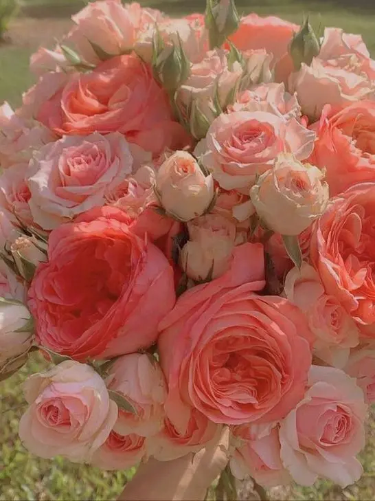 Woowang0722의 나 다 알고 싶었어