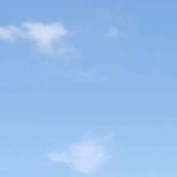 배이
