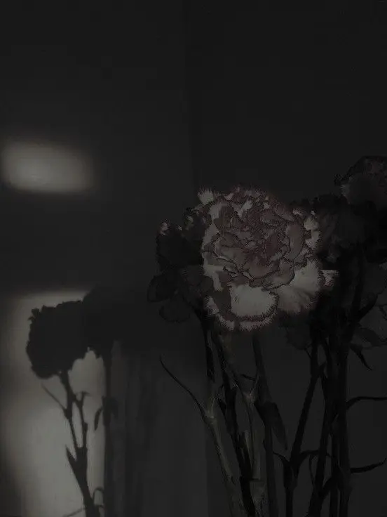 _ho5hi의 ☪︎*｡꙳