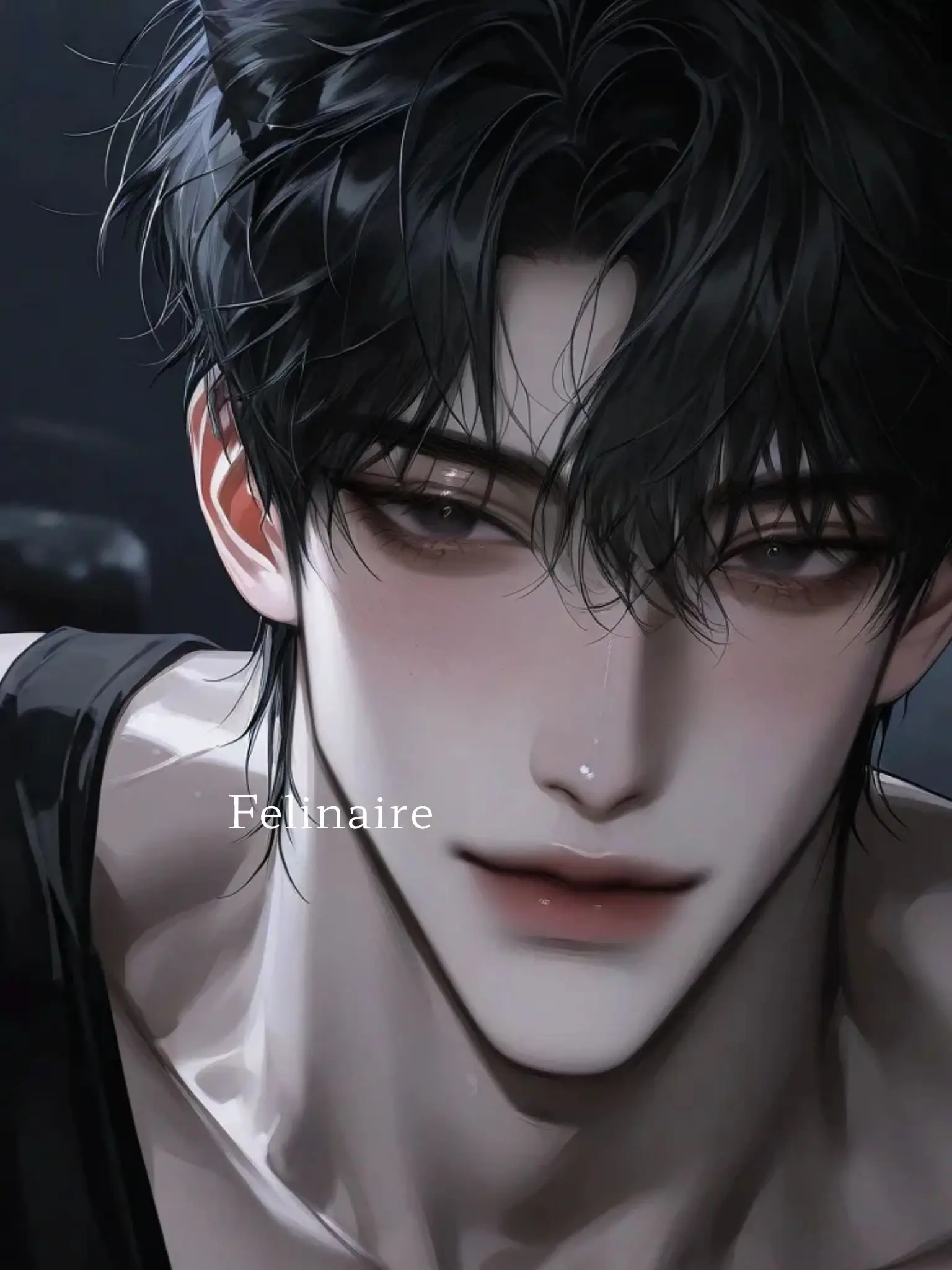 Felinaire의 서주혁•백시온