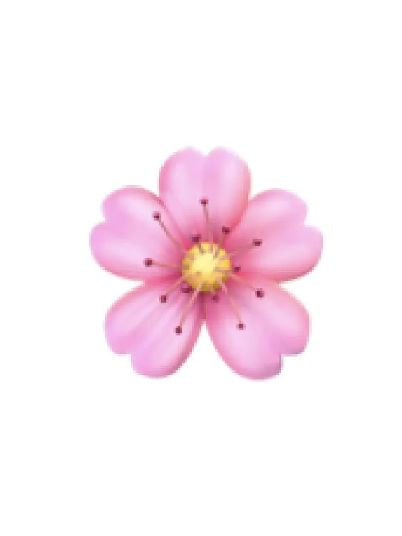 E.n.의 🌸
