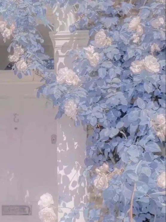 AcidicEye7766의 沢山噛んで　「　一緒になろう　」