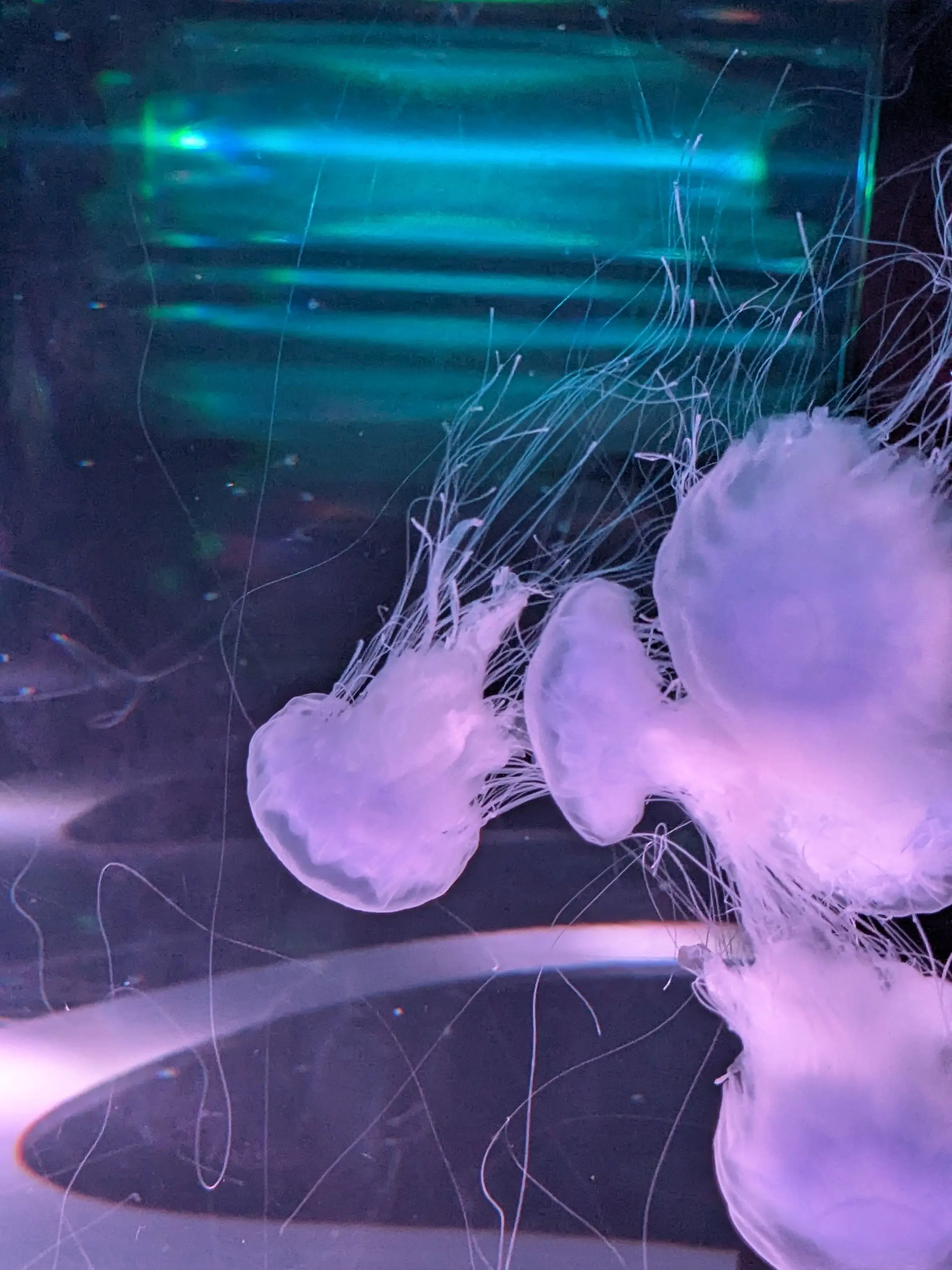 RapierEmber6180의 自分用だぜ☆