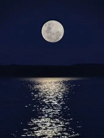 MOON207의 AWC-2026-(대회가 끝난 이후)