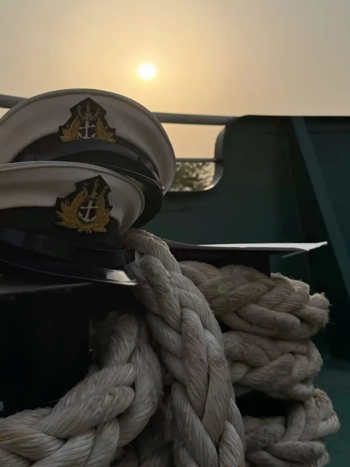 NINGEN1206의 船長に一目惚れされた  𐔌  🚢