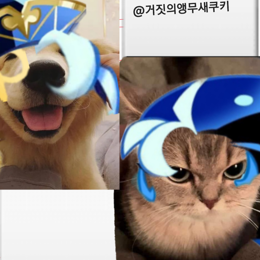 쉐냥이쉐트리버키우기 대표 이미지