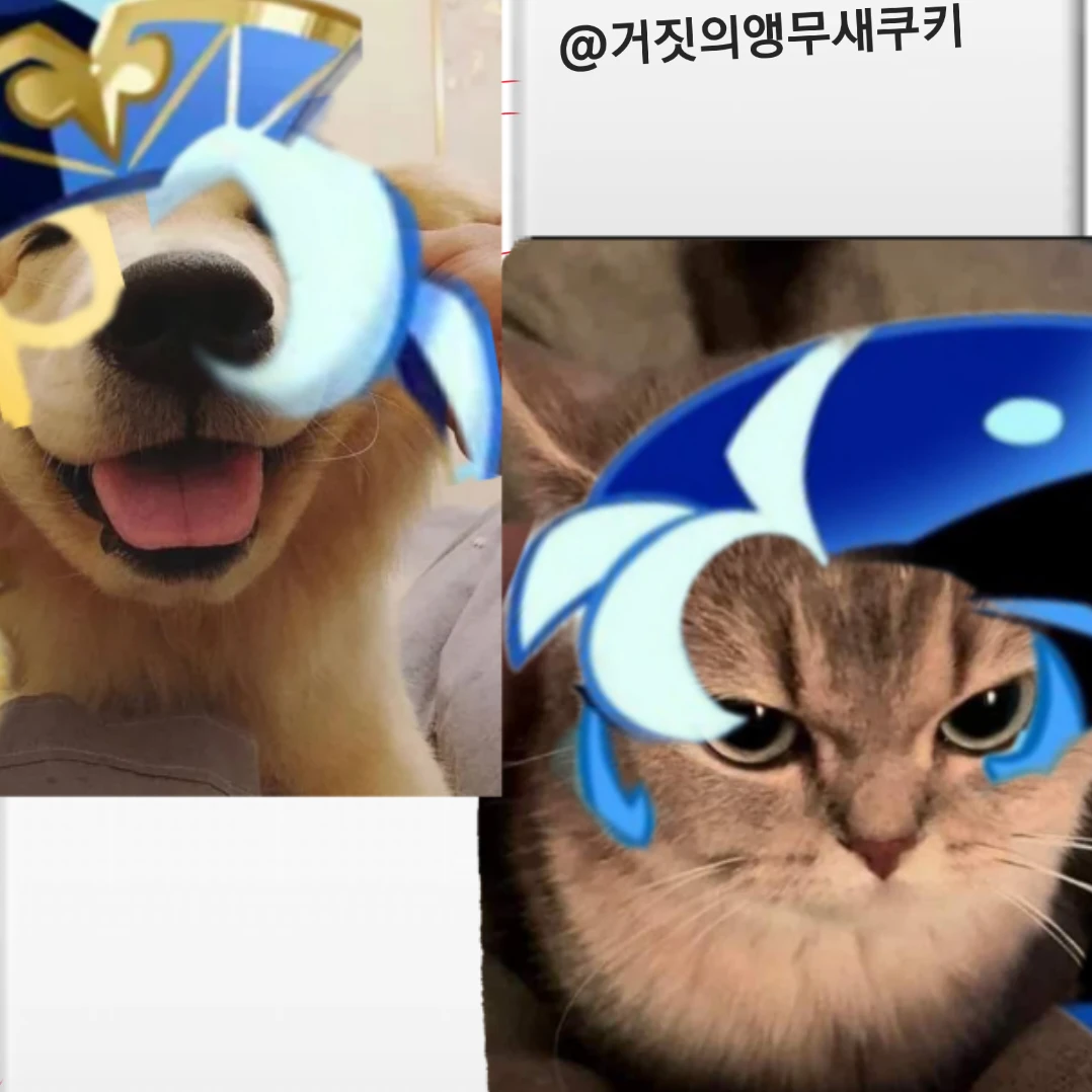 쉐냥이쉐트리버키우기