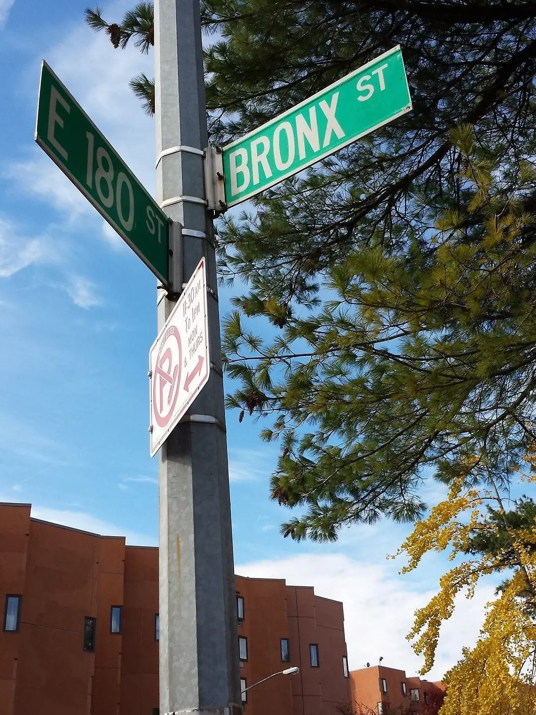 aaliyah21의 Bronx.!!
