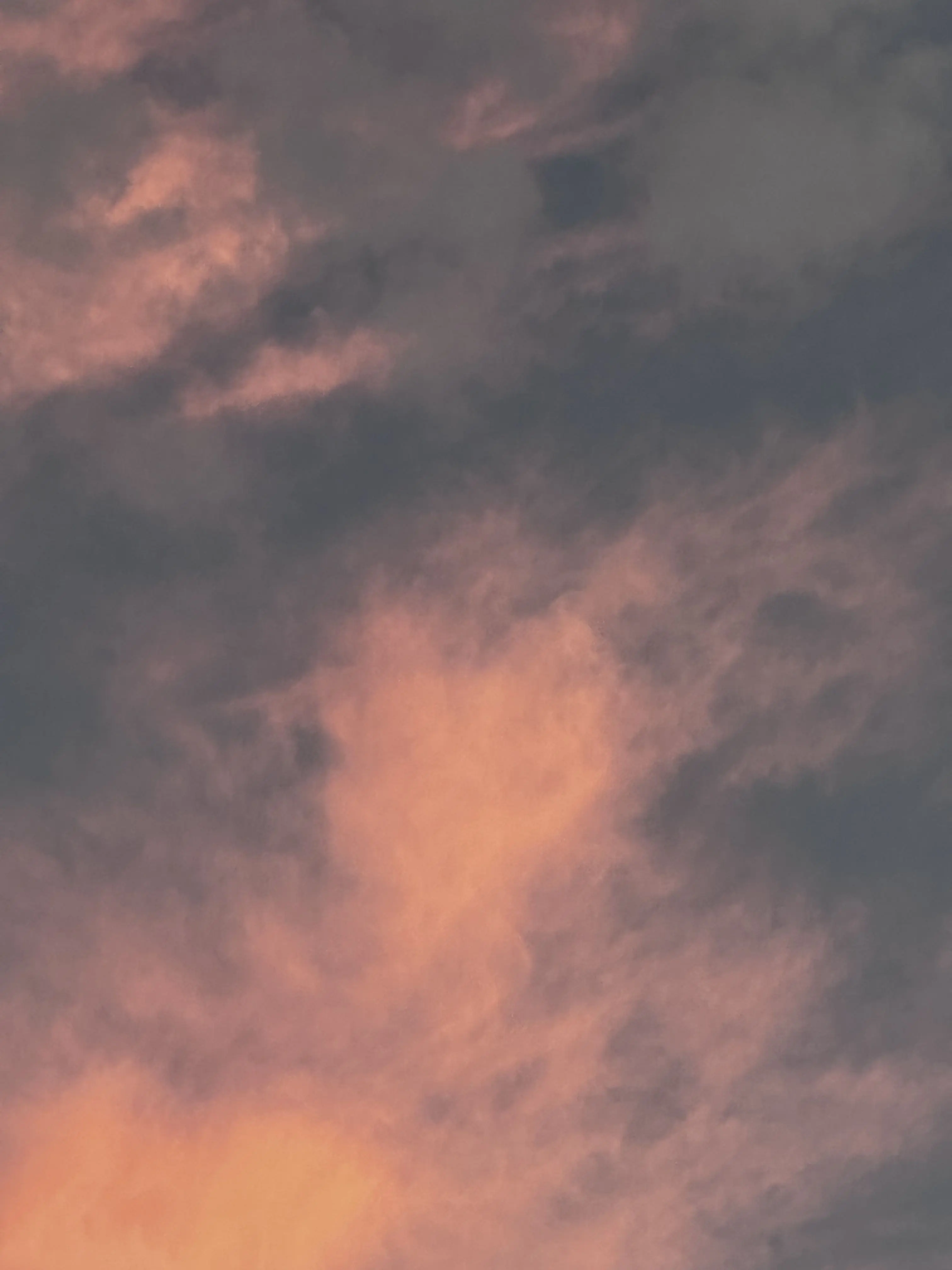 IT_IS_8.19_NOW의 EVERYTHING