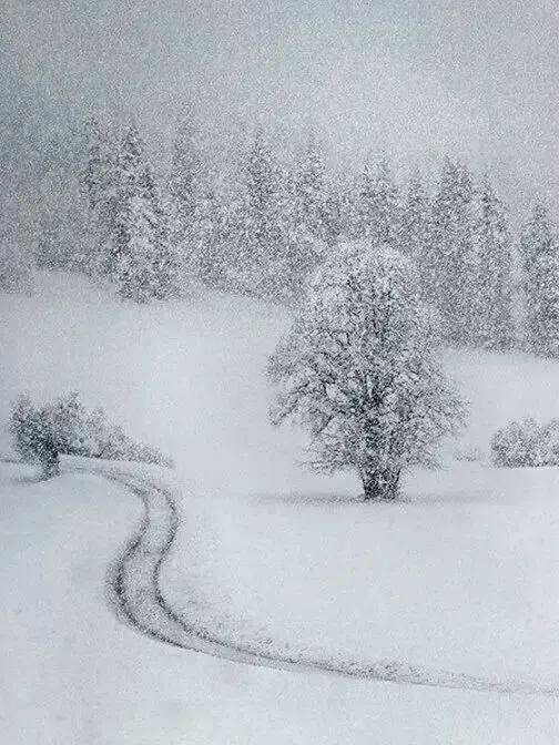 iruy의 오래된 겨울