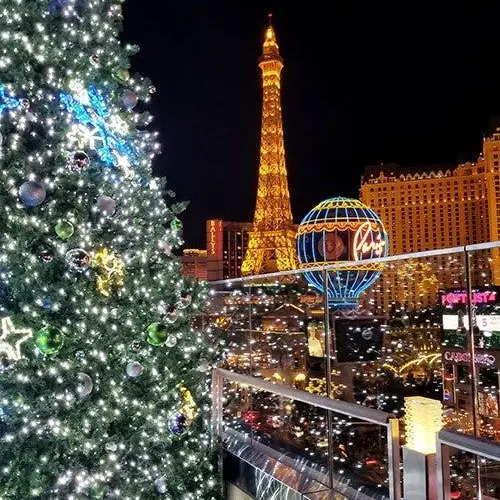 lmstay_song의 양정인