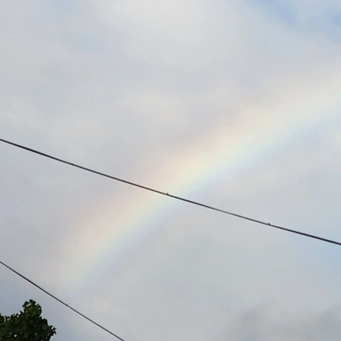 RealFrug6055의 뜰팁 고등학교 해피 할로윈!