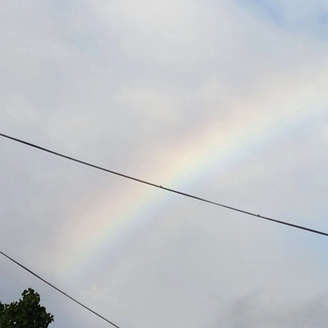 뜰팁 고등학교 해피 할로윈!
