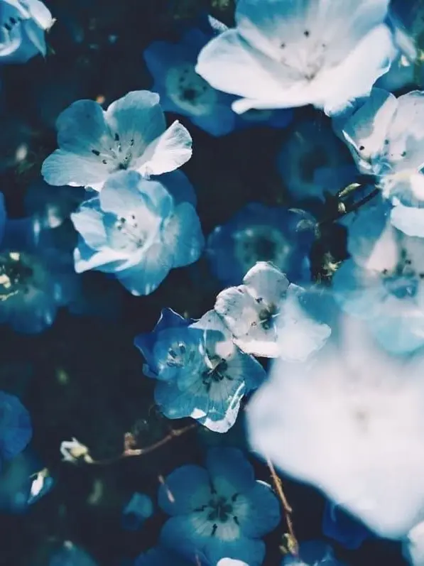 agi_n074의 サイン会で一目惚れされた件について