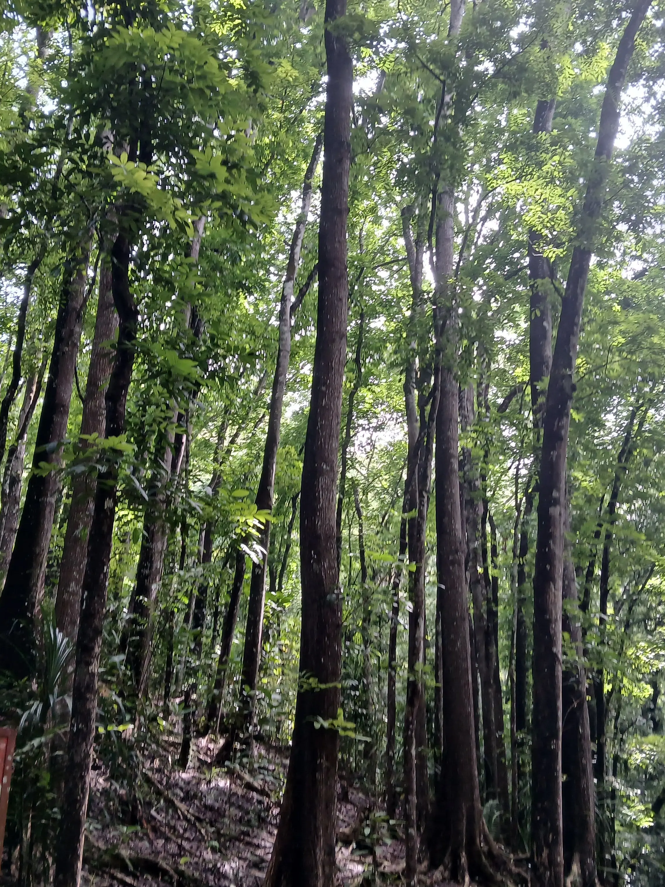 LightMeter7936의 인간의 이기심이란.