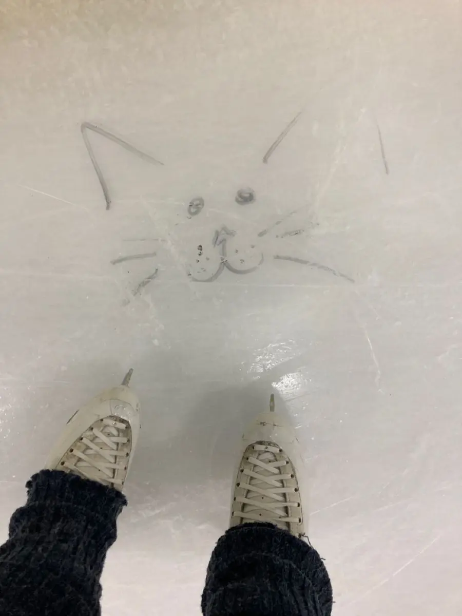 stupidlildumbboi의 ⛸️ | On Thin Ice.