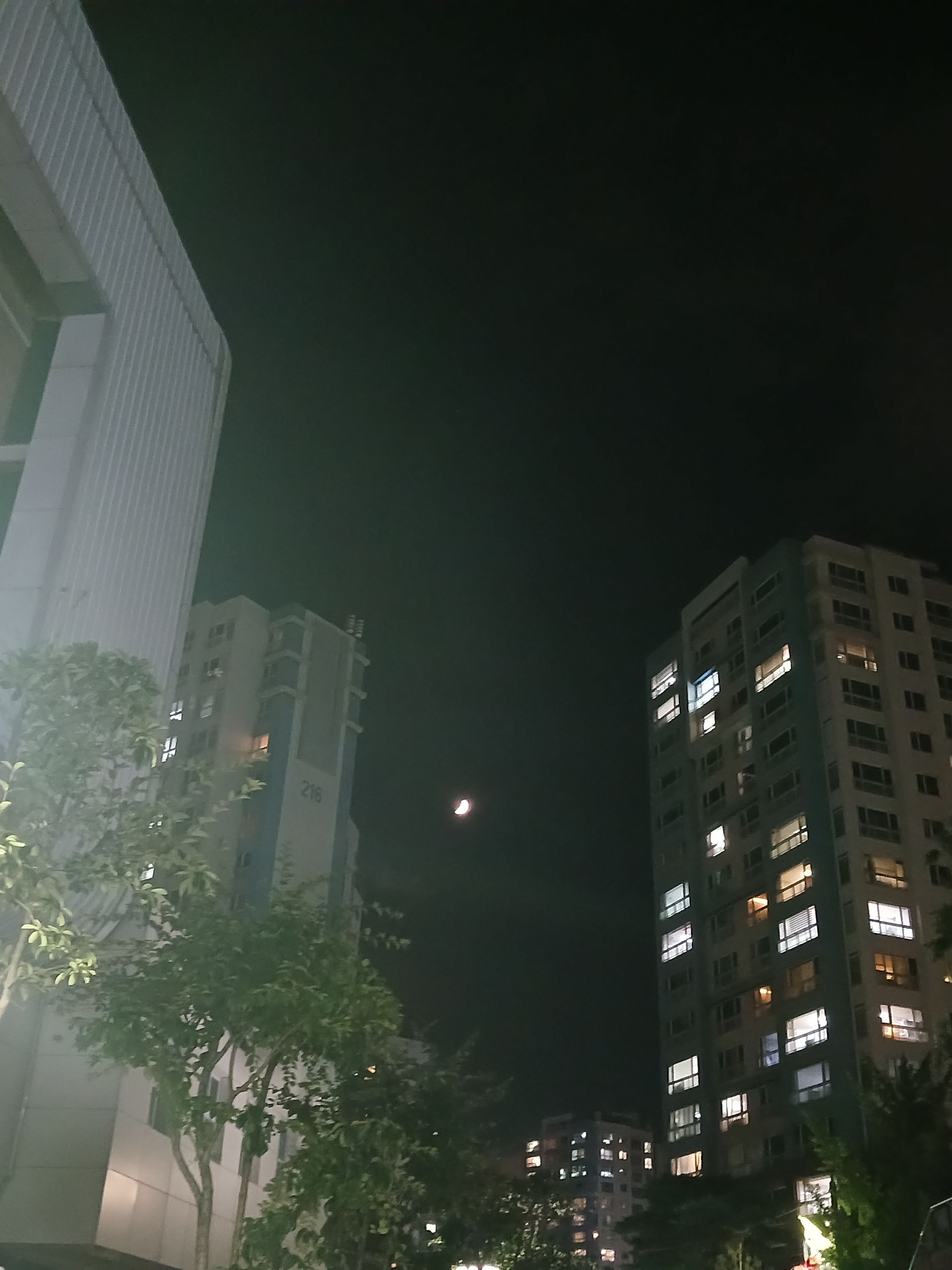 저 2학년 밴드부에 찾아왔습니다 대표 이미지