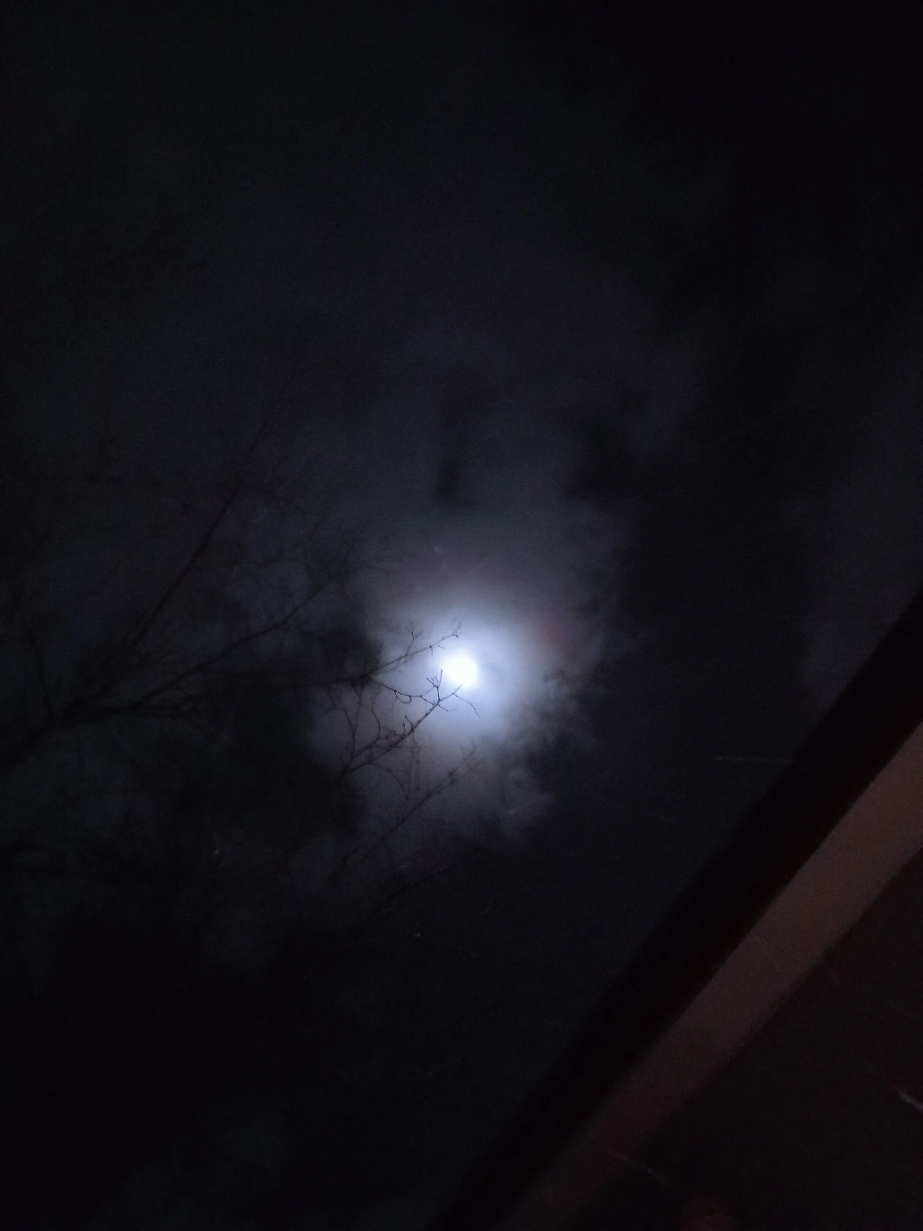 saotome.__.519의 殺し屋 、 ショタ を 溺愛してます。