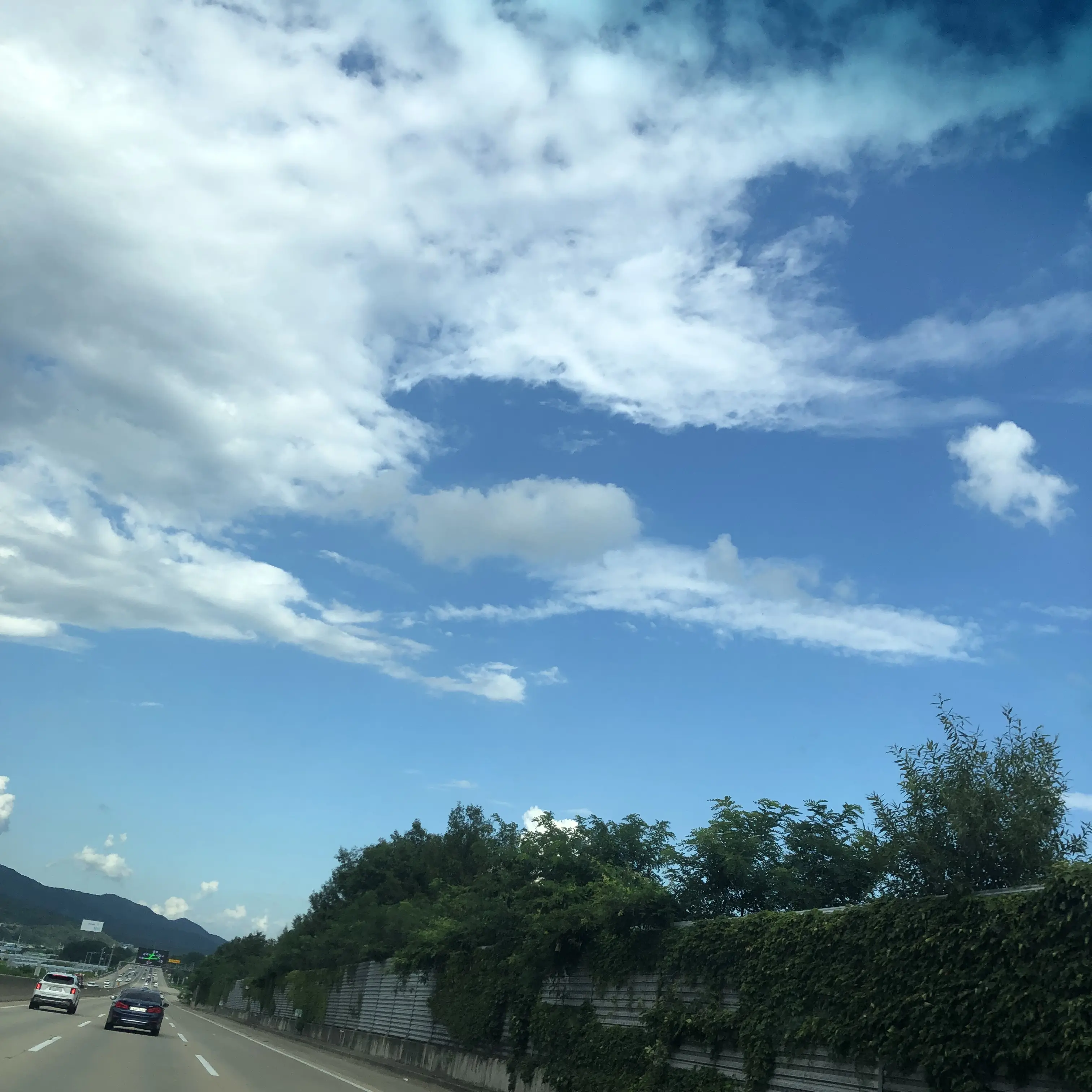 Lill1107의 아기가 된 평학