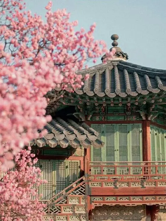 RedCoat4483의 제오페구케 조선시대