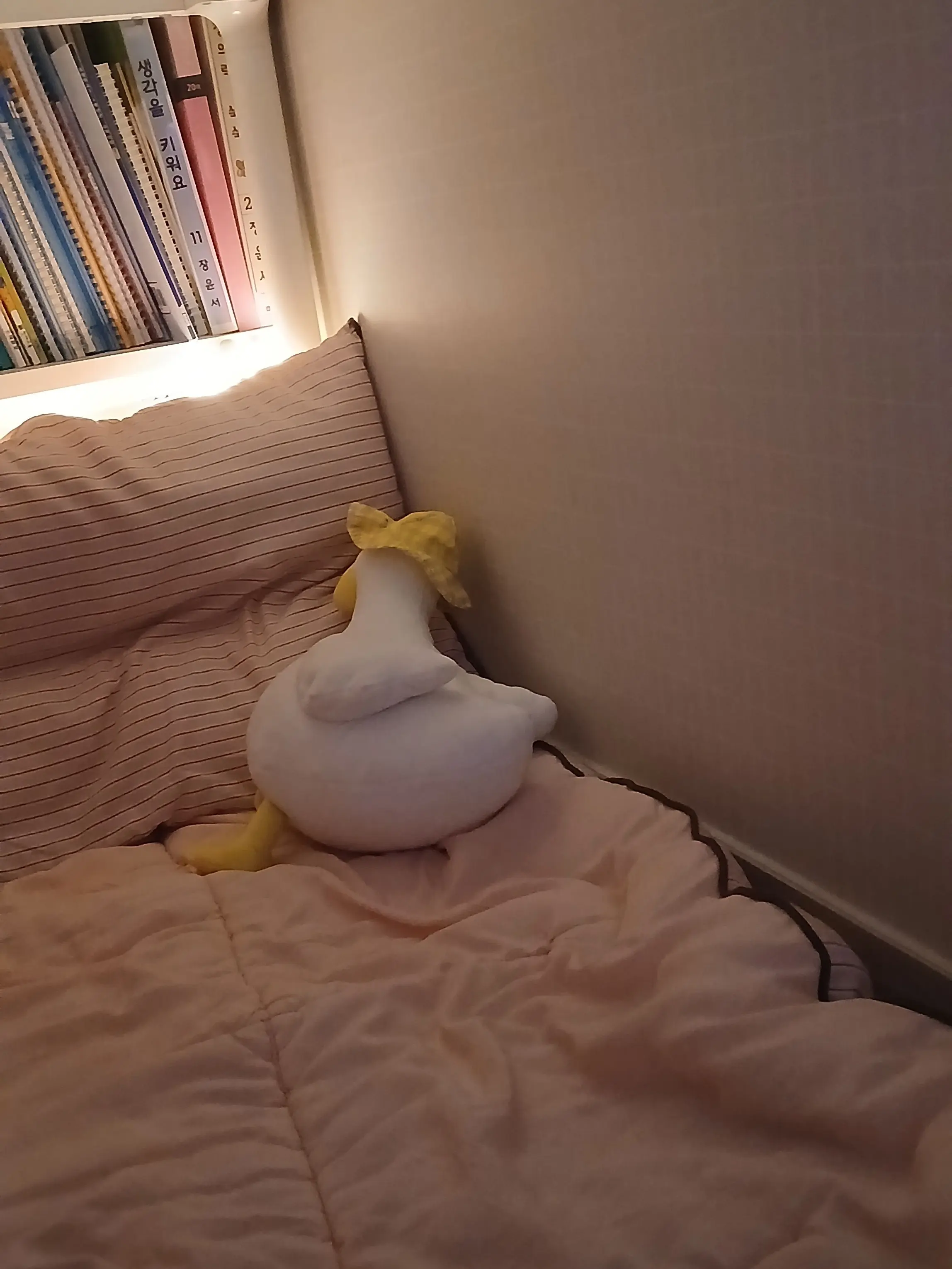 NutmegStudy4368의 김동현