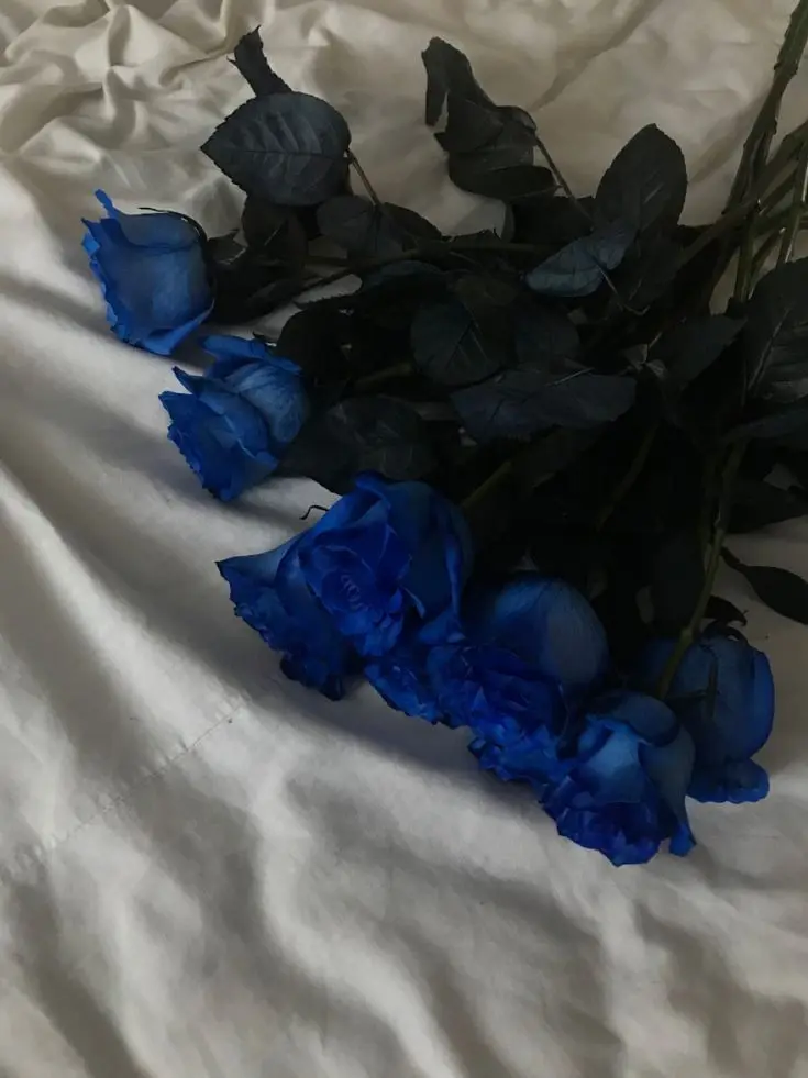 _ch.e3n의 어떻게든 넘어오게 할꺼야