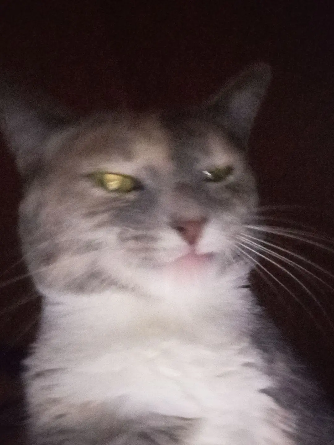 InlandCrow2591의 Hybrid Integration