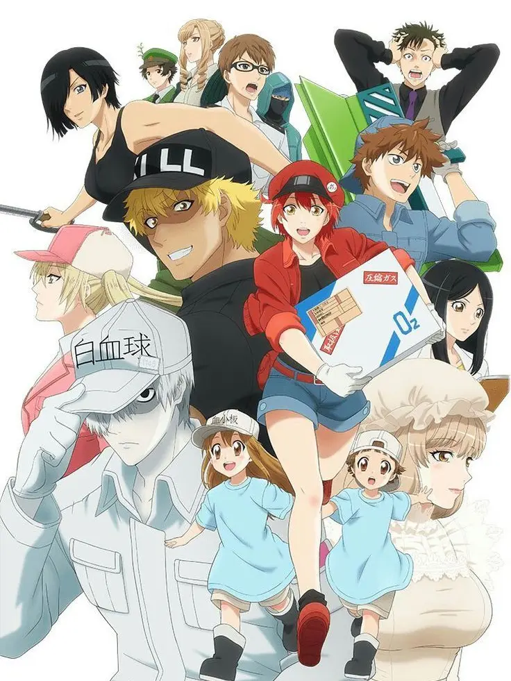 PaddedMind6999의 일하는 세포