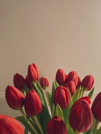 서한솔 대표 이미지