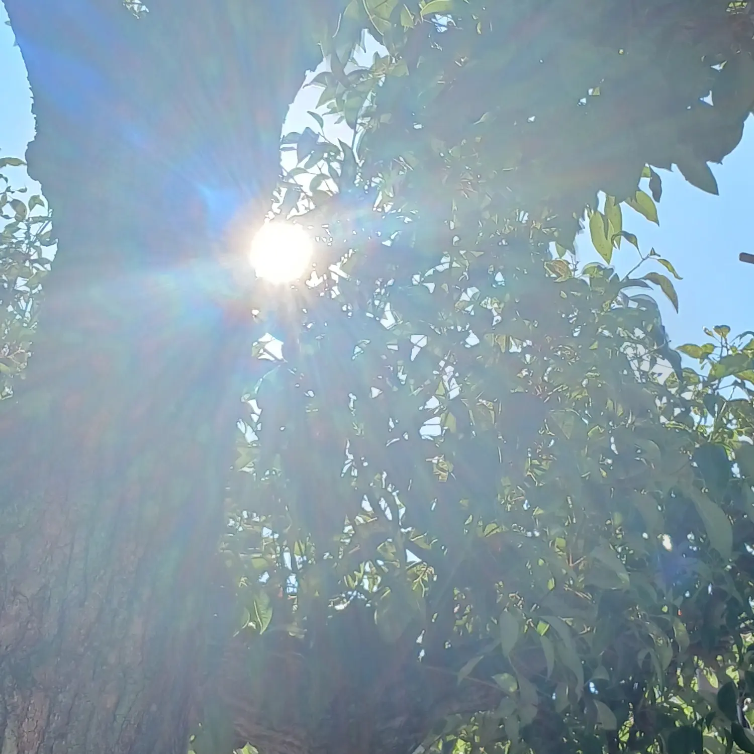 PoorCello9524의 放課後の空き教室にて…♡