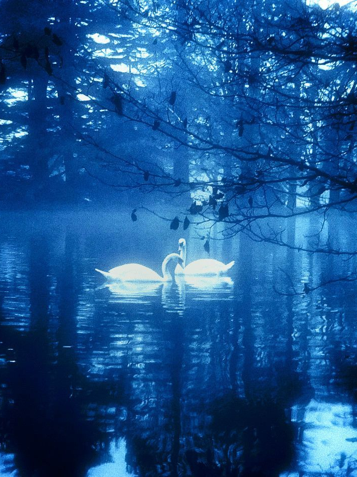 On the river 대표 이미지