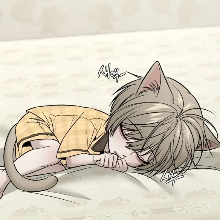 TangyKite9608의 한주오