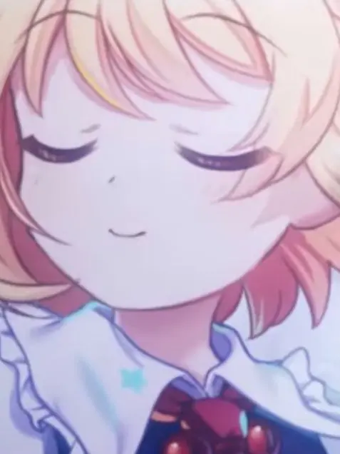 PaltryChalk1169의 ルーミア