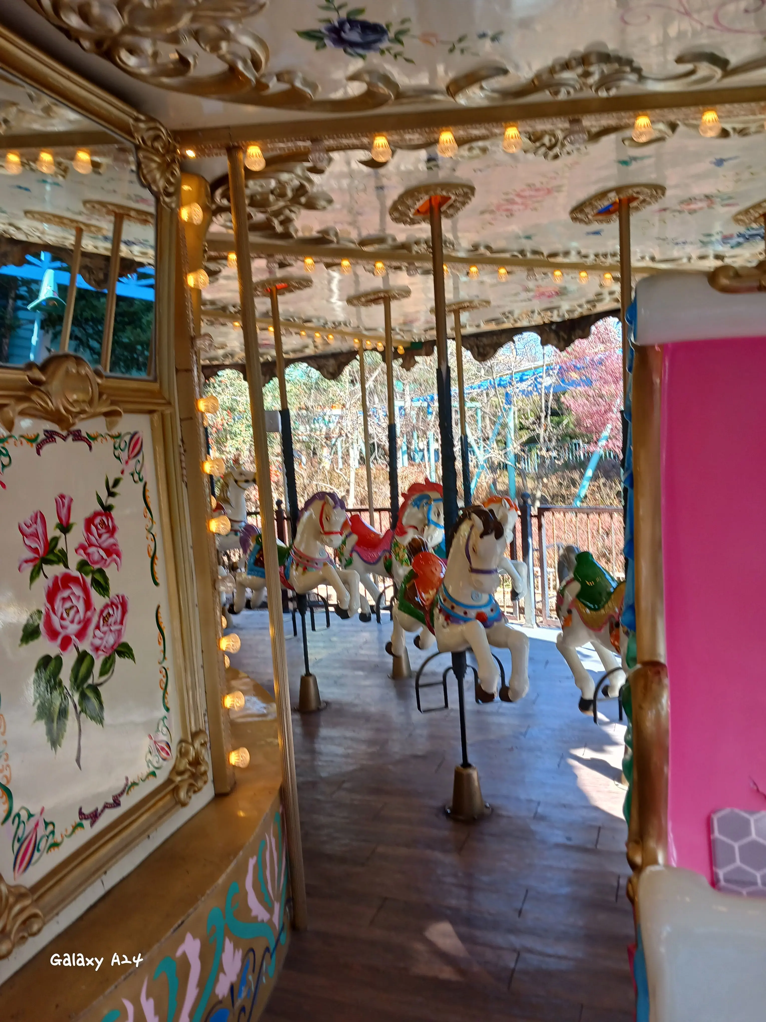 UniquePan1743의 🦈🦖⭐️