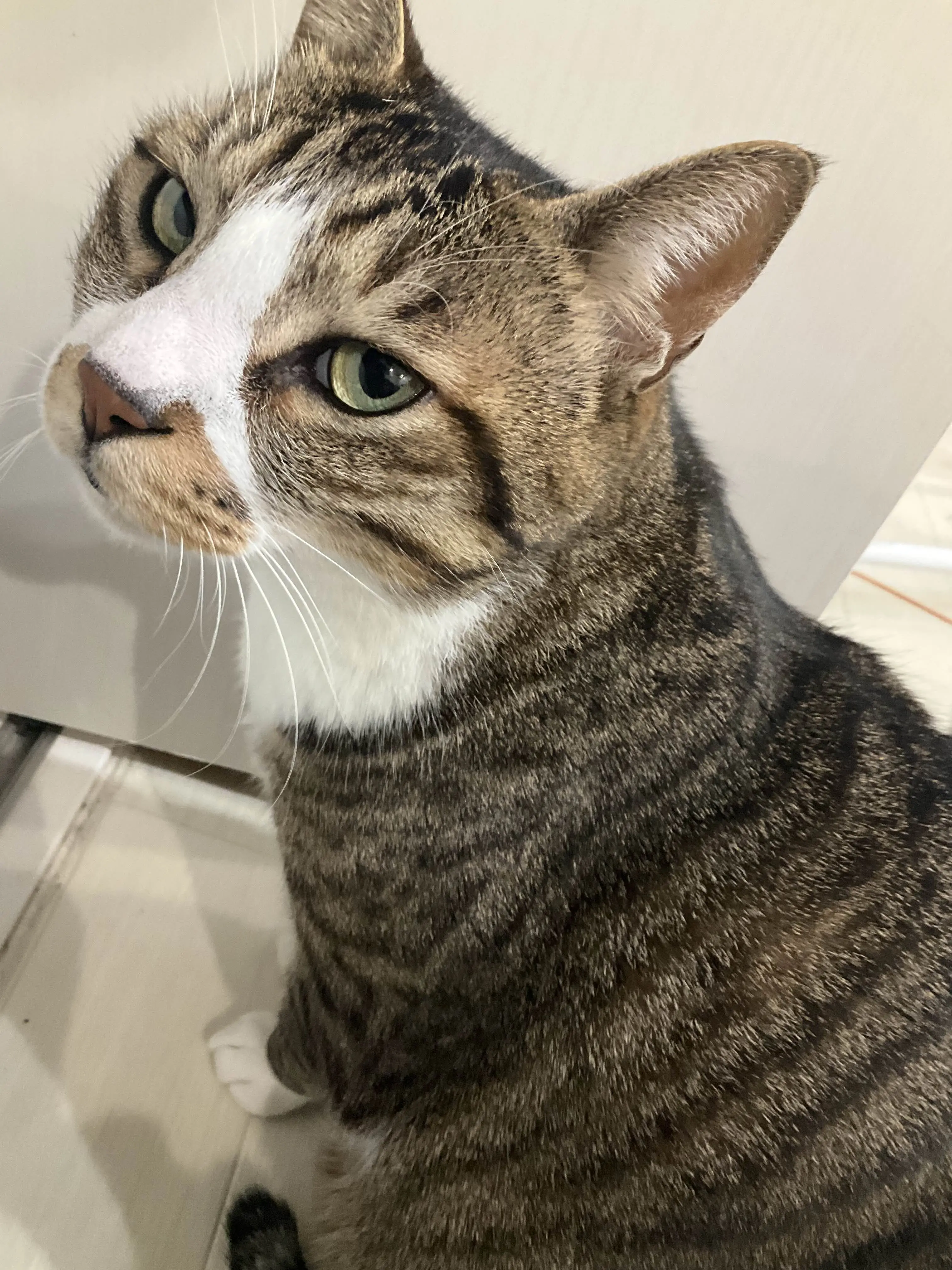 AMANO928의 自分用