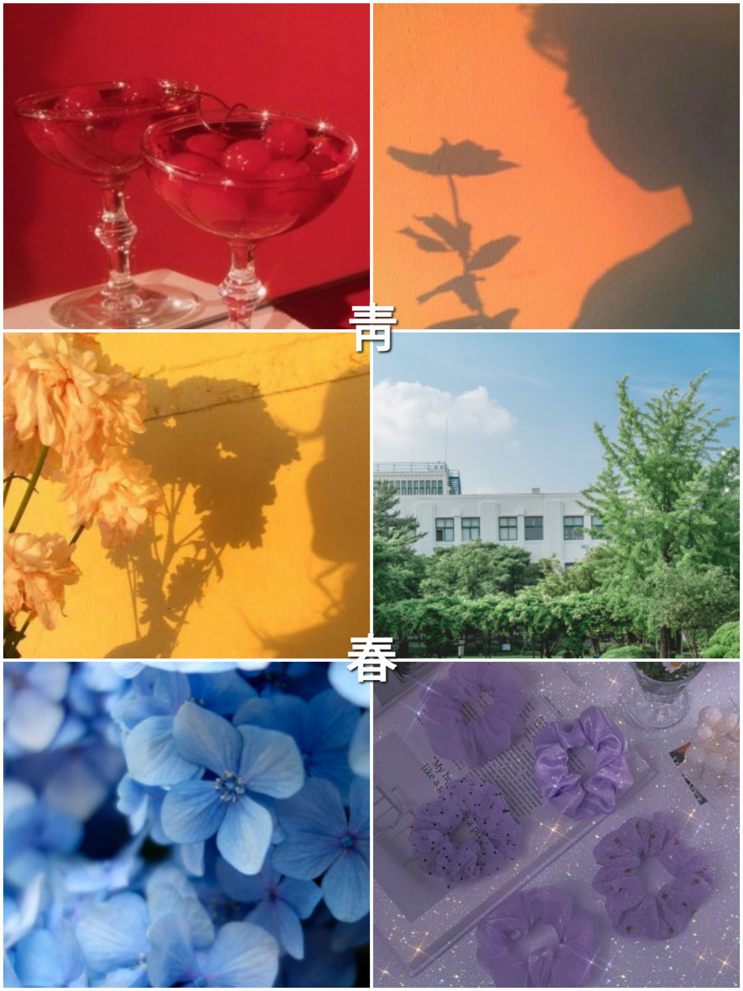 🌸靑春- 대표 이미지