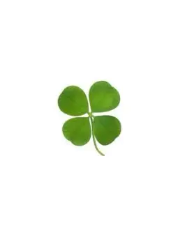 SweetSeal0518의 💚🧡