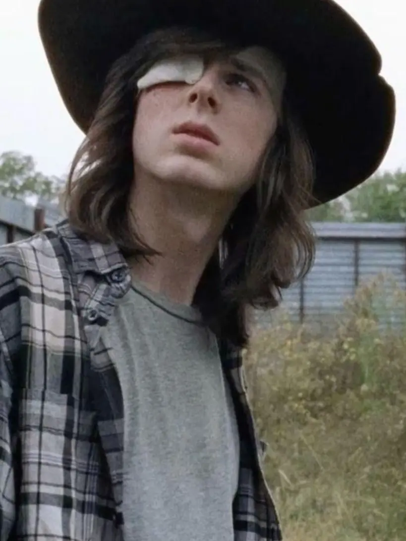 Stephdavis_bad0mens의 CARL GRIMES